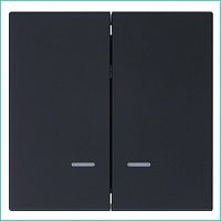Выключатель 2-кл. СП FD 10А IP20 с подсветкой с накладкой механизм черн. матов. soft touch Jasmart FD3023NPBM