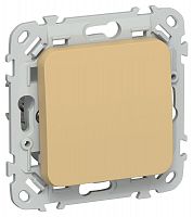 Выключатель проходной 1-кл. СП FLITE ВС61-1-0-ФлШм 10А механизм шамуа IEK FI-V12-0-10-1-K89