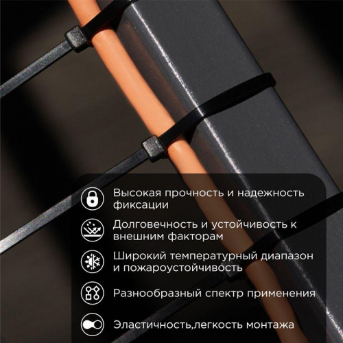 Стяжка кабельная нейлоновая 920х9.0мм черная (уп.25шт) Rexant 07-0901-25 фото 2