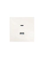 Розетка СП ZIMA IP20 Type-C + USB механизм сл. кость LEZARD 704-9088-192TC