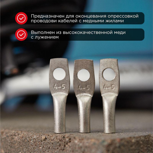 Наконечник ТМЛ 4-5-3 Rexant 07-5303 фото 2