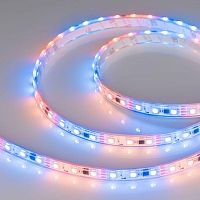 Лента светодиодная SPI-P-B60-12mm 12V RGB-PX3 14.4Вт/м IP66 5060 герметичная бегущий огонь (уп.5м) Arlight 026365(3)