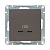 Розетка 2-м СП Эпика USB-C механизм мокко EKF UP1-SOM-2USBC