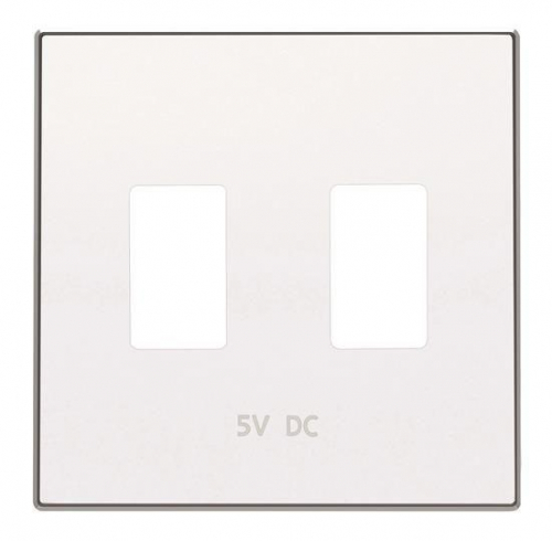 Накладка для механизма 2хUSB зарядного устройства SKY альп. бел. ABB 2CLA858530A1101