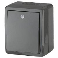 Выключатель 1-кл. ОП Эра Эксперт 10А IP54 11-1402-03 250В 10AX с подсветкой сер. Эра Б0020672