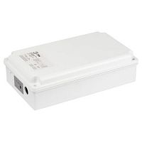 Блок аварийного питания для светильников LED-LP-E200-1-240 универс. до 200Вт 1ч IP65 Проектный Эра Б0055351