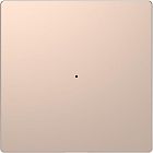 Клавиша одинарная Merten D-Life PlusLink без символов SD шампань SchE MTN5210-6051