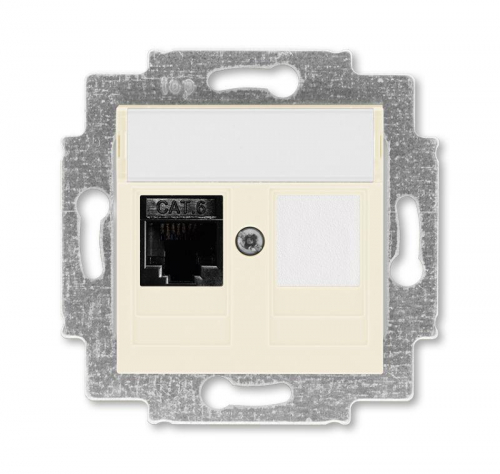 Розетка информационная Levit RJ45 кат. 6 и заглушка сл. кость ABB 2CHH296117A6017