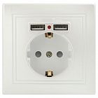 Розетка 1-м СП Plano 1-410-06 IP20 + 2хUSB перламутр Intro Б0053947