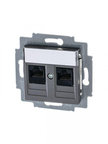 Розетка информационная Levit двойная 2хRJ45 кат. 5e сталь ABB 2CHH295118A6069