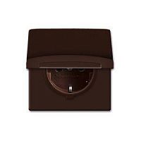Розетка 1-м СП Allwetter44 20 EUGK-31-101 16А IP44 250В Schuko с крышкой уплотнит. кольцо корич. ABB 2CKA002064A0286