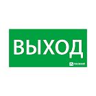 Знак эвакуационный "ВЫХОД" (200х100) Ардатов 1001100200