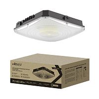 Светильник CAN05-LEVEL 70PA3C-BL 70/60/40Вт IP65 100-277В 150лм/Вт 3CCT уличный потолочн. 5лет NEOX 4690612064710