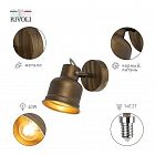 Светильник Inessa 7035-701 40Вт 1хE27 настен./потолочн. спот поворотн. Rivoli Б0052447