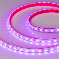 Лента светодиодная RTW-PS-B60-12mm 24V RGB 14.4Вт/м IP67 5060 герметичная (уп.50м) Arlight 024587(2)