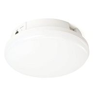 Светильник светодиодный AL3025 12Вт 6500К IP65 960лм корпус пластик. с БАП FERON 48986