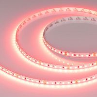 Лента светодиодная RT-A120-8mm 24V Scarlet 9.6Вт/м IP20 2835 (уп.5м) Arlight 043383