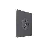 Выключатель звуковой СП Systeme Infinity 100Вт 230В с выдержкой времени вулканический пепел SE FSE000794