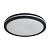 Светильник Rua 40Вт IP65 потолочн. Freya FR6160CL-L40B