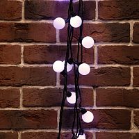 Гирлянда светодиодная "Мультишарики" 10м d38мм 40LED бел. 5Вт IP65 провод ПВХ черн. (нужен шнур питания 303-500) Neon-Night 303-575