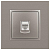 Розетка компьютерная Elegance 14-3107-16 RJ45 титан Эра Б0065764