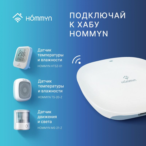 Блок управления (шлюз) Hub HH-01 HOMMYN НС-1402862 фото 6