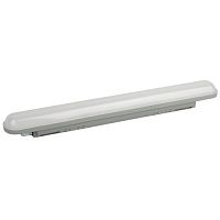 Светильник светодиодный SPP-211-0-40K-036 36Вт 4000К IP65 600мм матов. Эра Б0069202