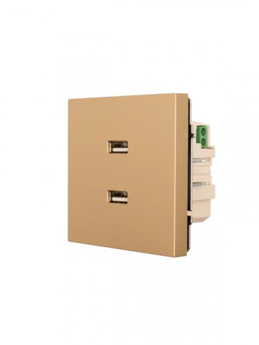 Розетка 2-м СП ZIMA IP20 USB механизм зол. LEZARD 704-3688-192 фото 2
