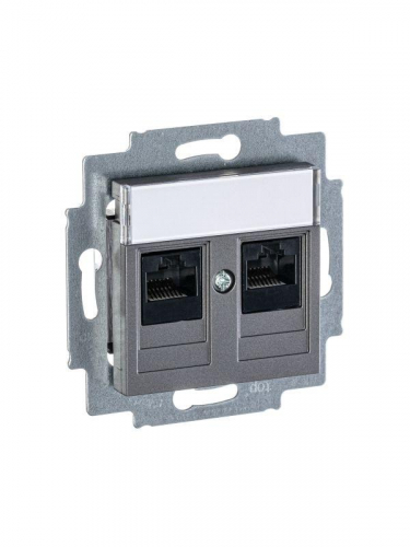 Розетка информационная Levit двойная 2хRJ45 кат. 5e сталь ABB 2CHH295118A6069 фото 2