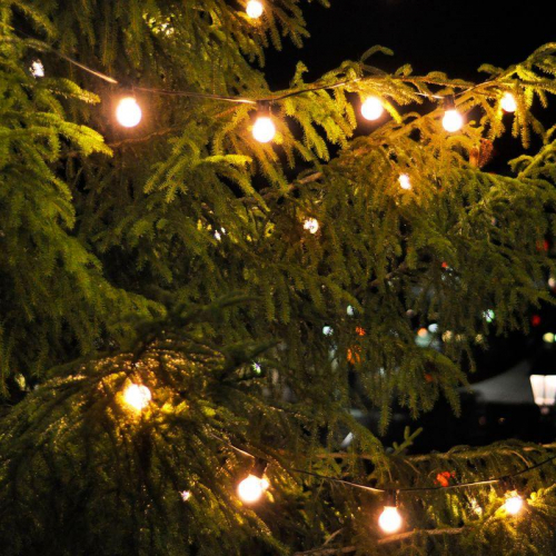 Гирлянда светодиодная садовая Solar "Шары" 30 ламп бел. IP44 GAUSS GS032 фото 5