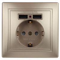 Розетка 1-м СП Plano 1-410-04 16А IP20 + 2хUSB шампань Intro Б0053945