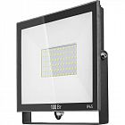 Прожектор светодиодный 61 948 OFL-100-6K-BL-IP65-LED 100Вт 6000К IP65 8000лм черн. ОНЛАЙТ 61948