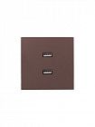 Розетка 2-м СП ZIMA IP20 USB механизм шоколад LEZARD 704-7388-192
