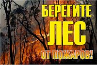 Знак "Берегите лес от огня!" 1200х800мм EKF zn-1-02