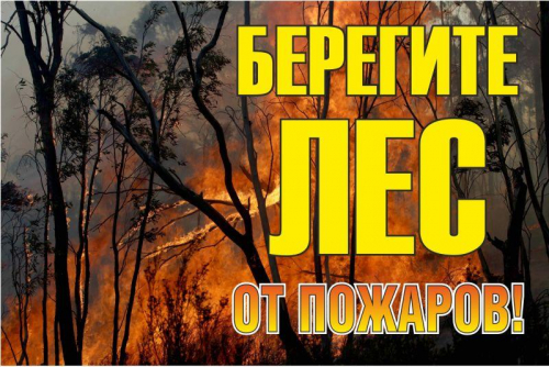 Знак "Берегите лес от огня!" 1200х800мм EKF zn-1-02