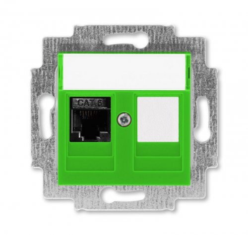Розетка информационная Levit RJ45 кат. 6 и заглушка зел. ABB 2CHH296117A6067