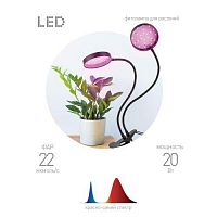 Светильник светодиодный FITO-20W-АLED-R 20Вт для растений красн./син. спектр на прищепке черн. Эра Б0053290