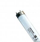 Лампа ультрафиолетовая ATTRACTIVE UVA T8 75W G13 75Вт LEDVANCE 4058075682153