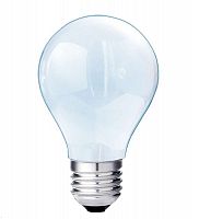 Лампа накаливания A55 40Вт E27 220-230В Спец-Свет