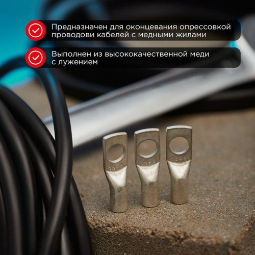 Наконечник ТМЛ 16-8-6 Rexant 07-5311 фото 2