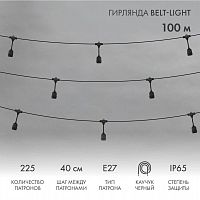 Гирлянда "Белт Лайт" 2жил. шаг 40см подвесные патроны E27 1320Вт IP65 влагостойкая (уп.100м) Neon-Night 331-231