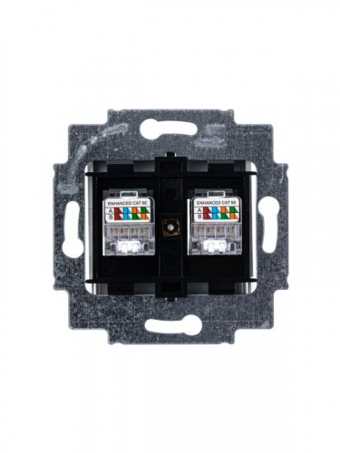 Розетка информационная Levit двойная 2хRJ45 кат. 5e сер. ABB 2CHH295118A6016 фото 4