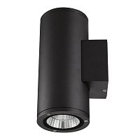 Светильник светодиодный ULU-S22D-2x12W/6400K BLACK 24Вт 6400К IP65 уличный черн. Uniel UL-00010848