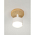 Светильник Vivian 7078-701 15Вт 1хGX53 настен./потолочн. спот поворотн. Rivoli Б0069927