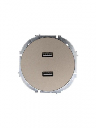 Розетка 2-м СП OSEN USB разъем механизм титан LEZARD 743-3788-192
