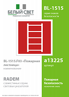 Знак безопасности BL-1515.F03"Пожарная лестница" Белый свет a13225