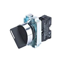 Переключатель NP2-BD21 2 положения фиксацией 1НО IP40 (R) CHINT 573977