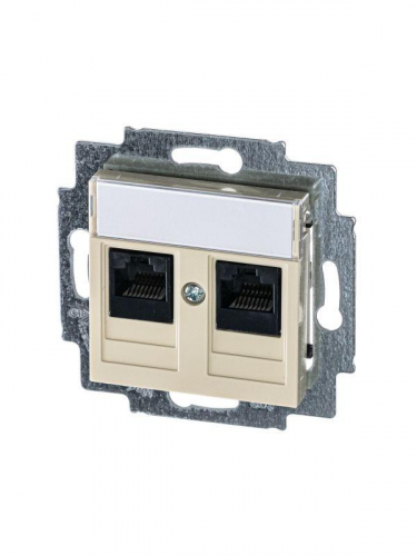 Розетка информационная Levit двойная 2хRJ45 кат. 5e сл. кость ABB 2CHH295118A6017