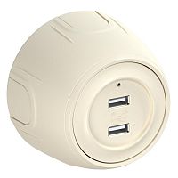 Розетка USB 2-м Rotondo с подсветкой беж. OneKeyElectro 7700897