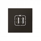 Розетка 2мод. USB Mosaic для зарядки черн. Leg 079194L